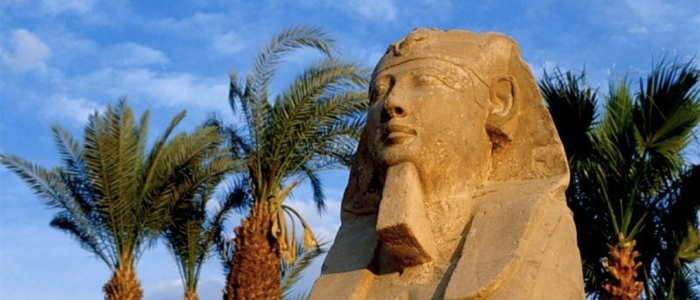 Современный Египет Фото